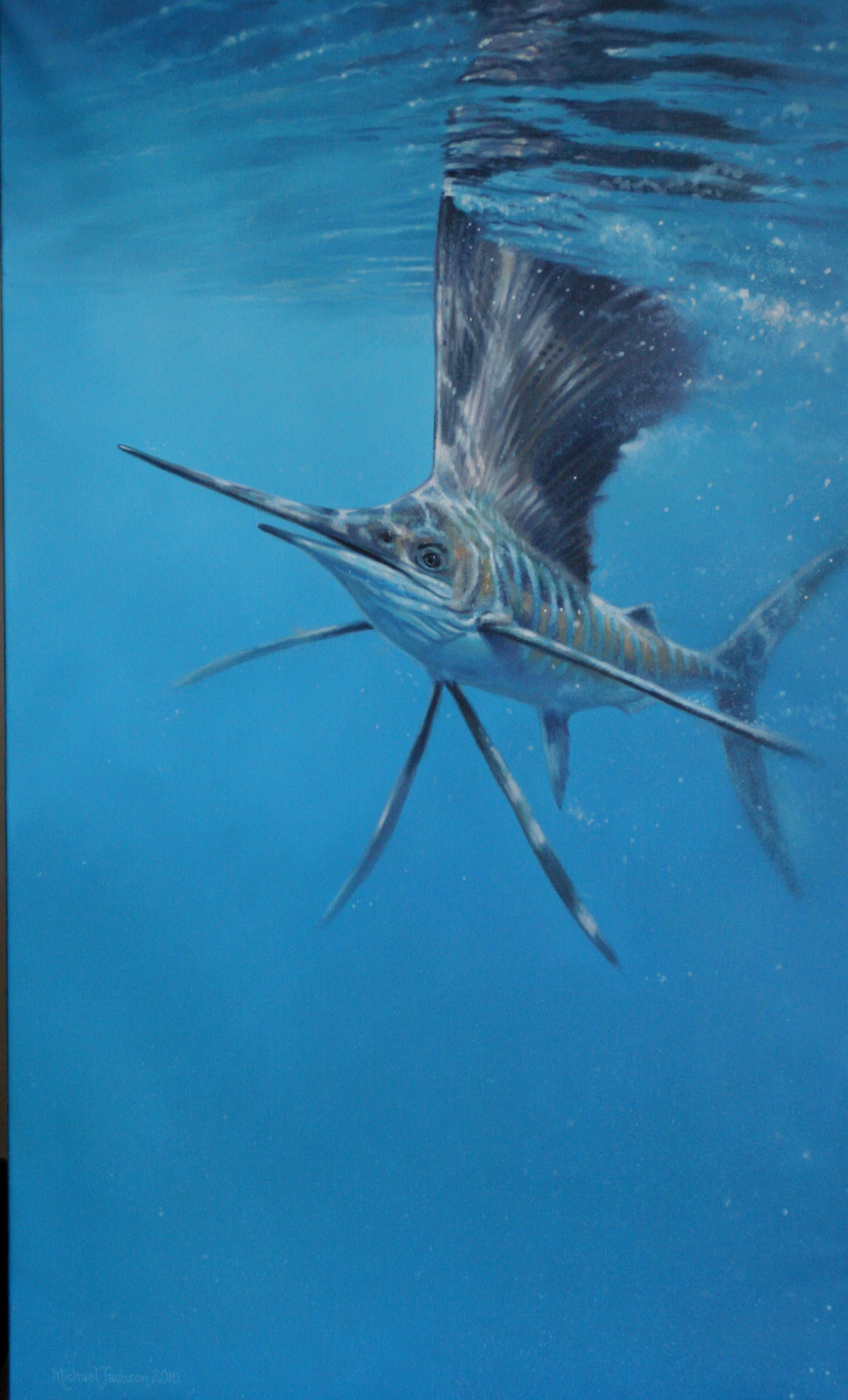 Sailfish by Michael Jackson