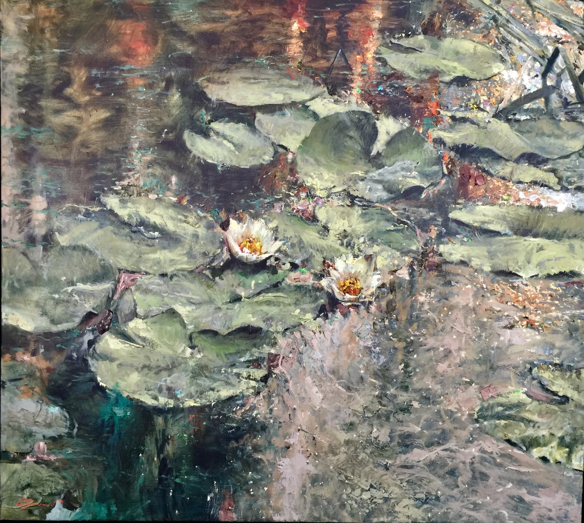 Pond Lilies