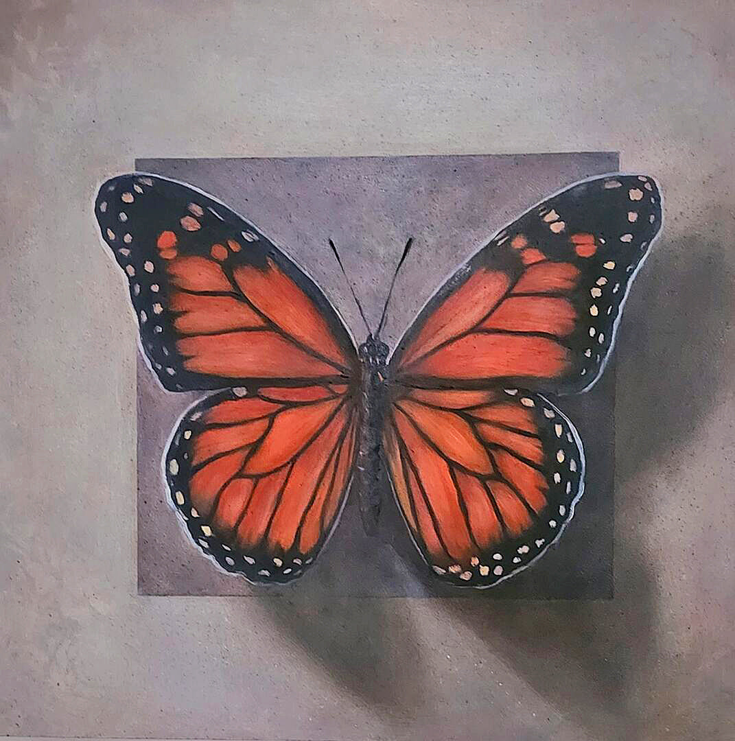 spread your wings