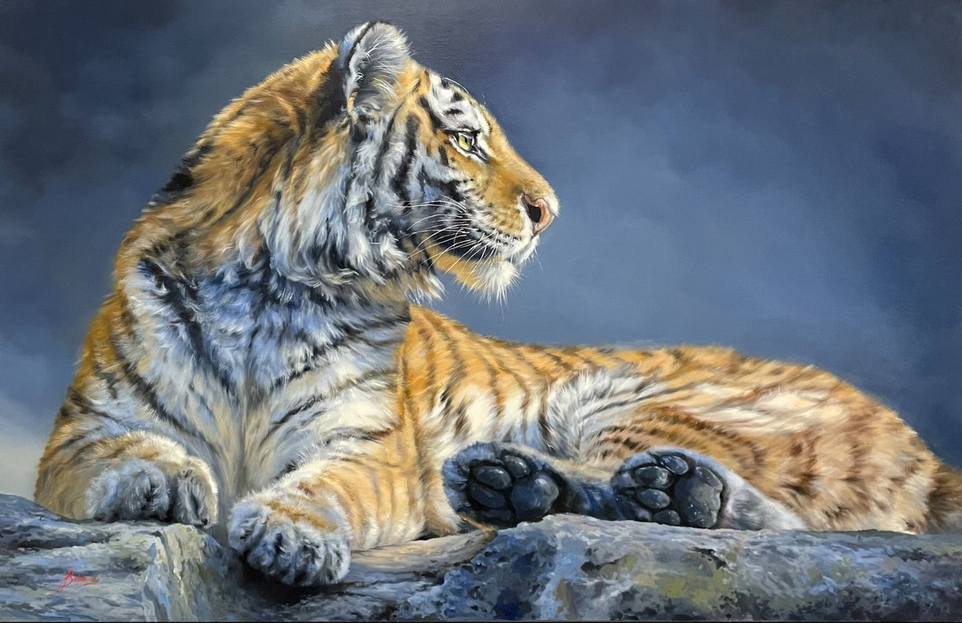 Siberian Tiger