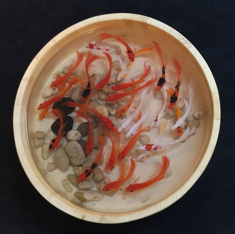 35 Koi in Sushi Oke Box by Bob Ichter