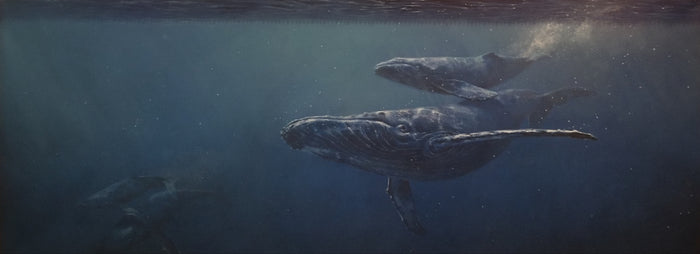 Leviathans - Whales