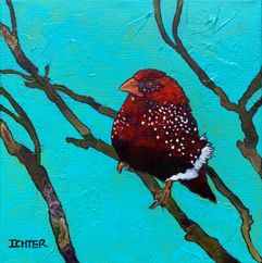 Mr. Romeo by Bob Ichter