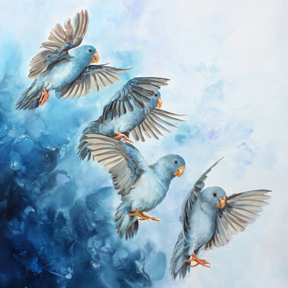 Pacific Parrotlets by Ron Di Scenza