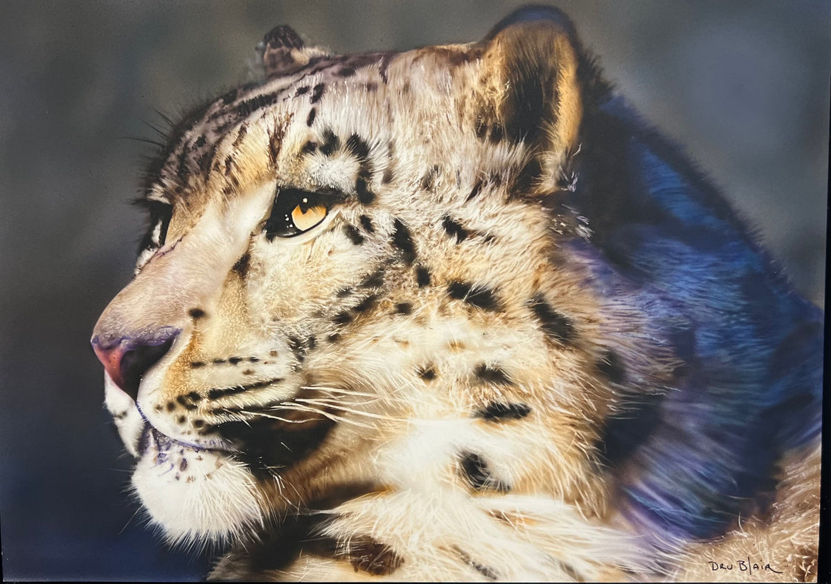 The Quiet Hunter