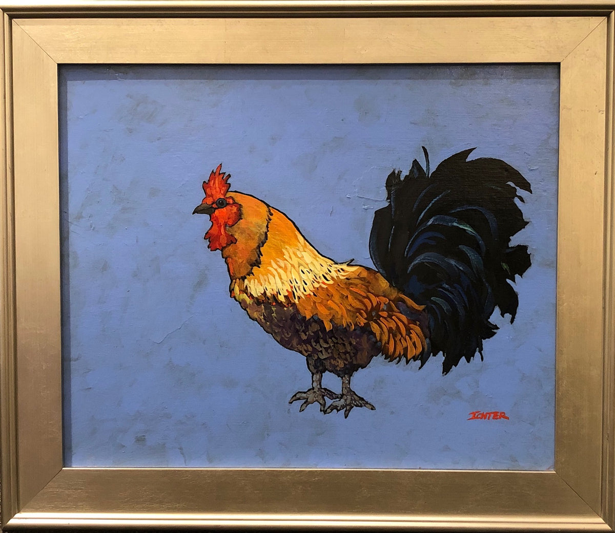 Wild Rooster of Maui