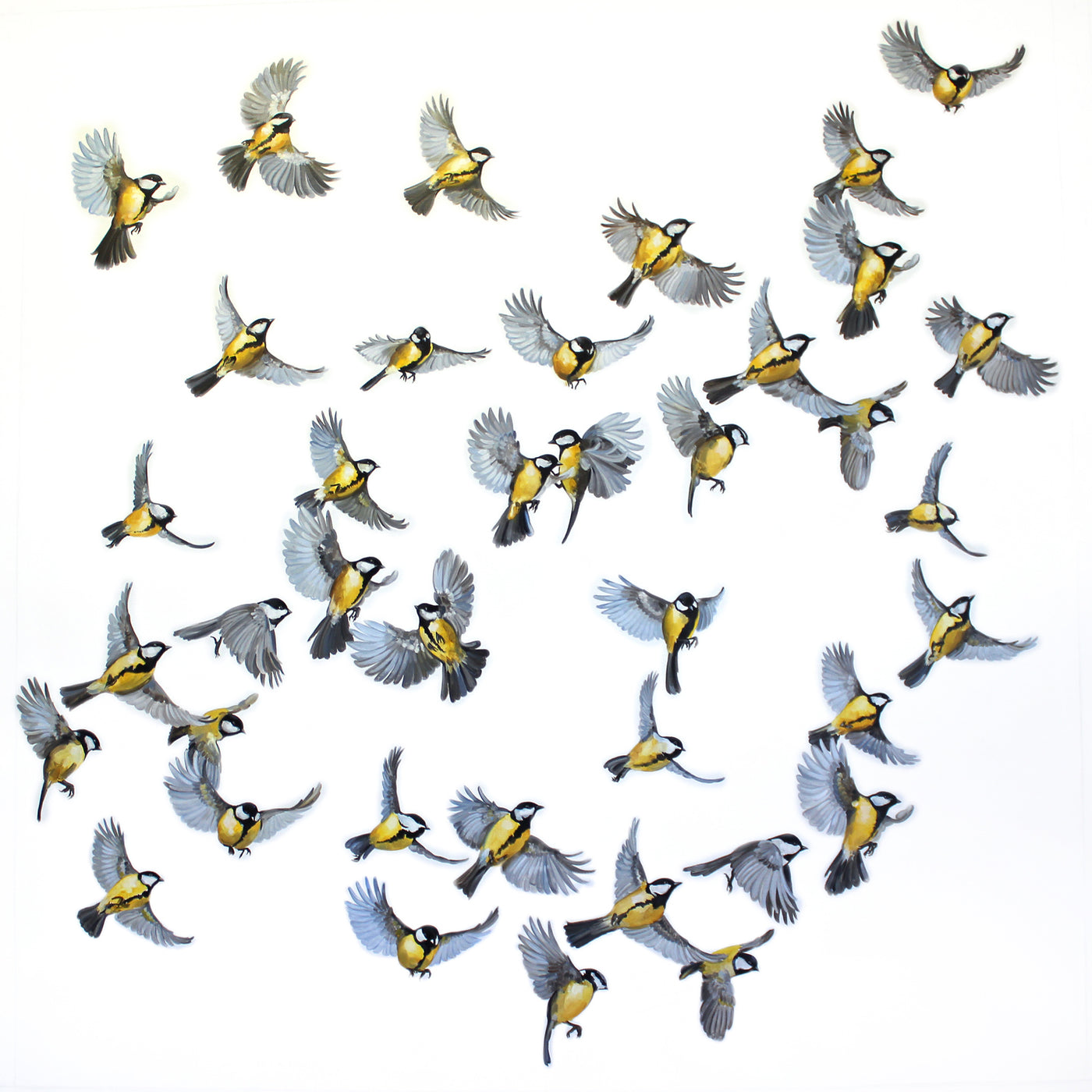 Black Capped Chickadees in Flight