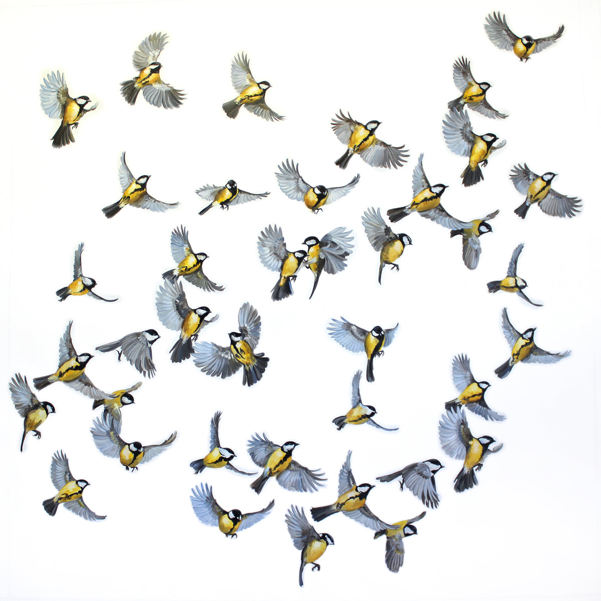Black Capped Chickadees in Flight by Ron Di Scenza