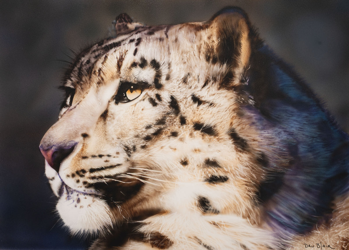 The Quiet Hunter