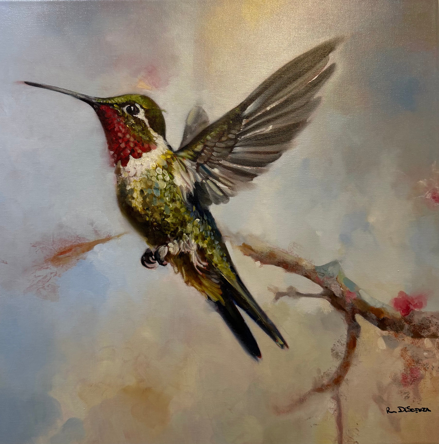 Hummingbirds: A Moment of Flight