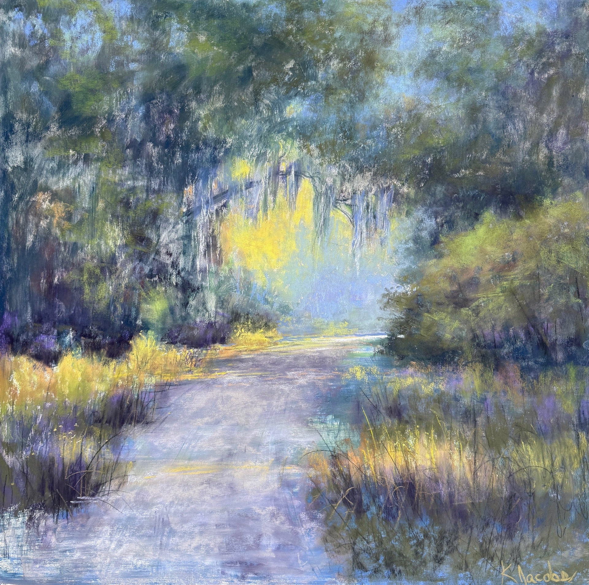 Lowcountry Light