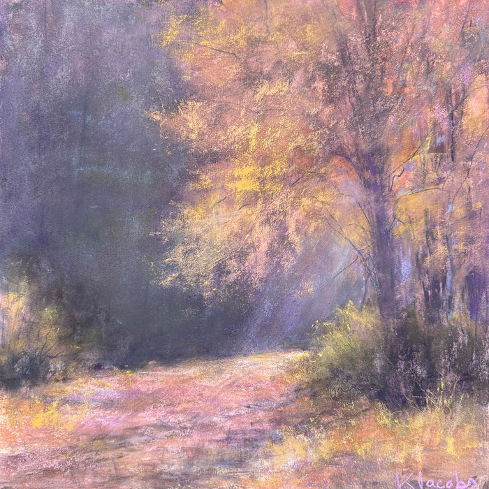 Wrapped in Light