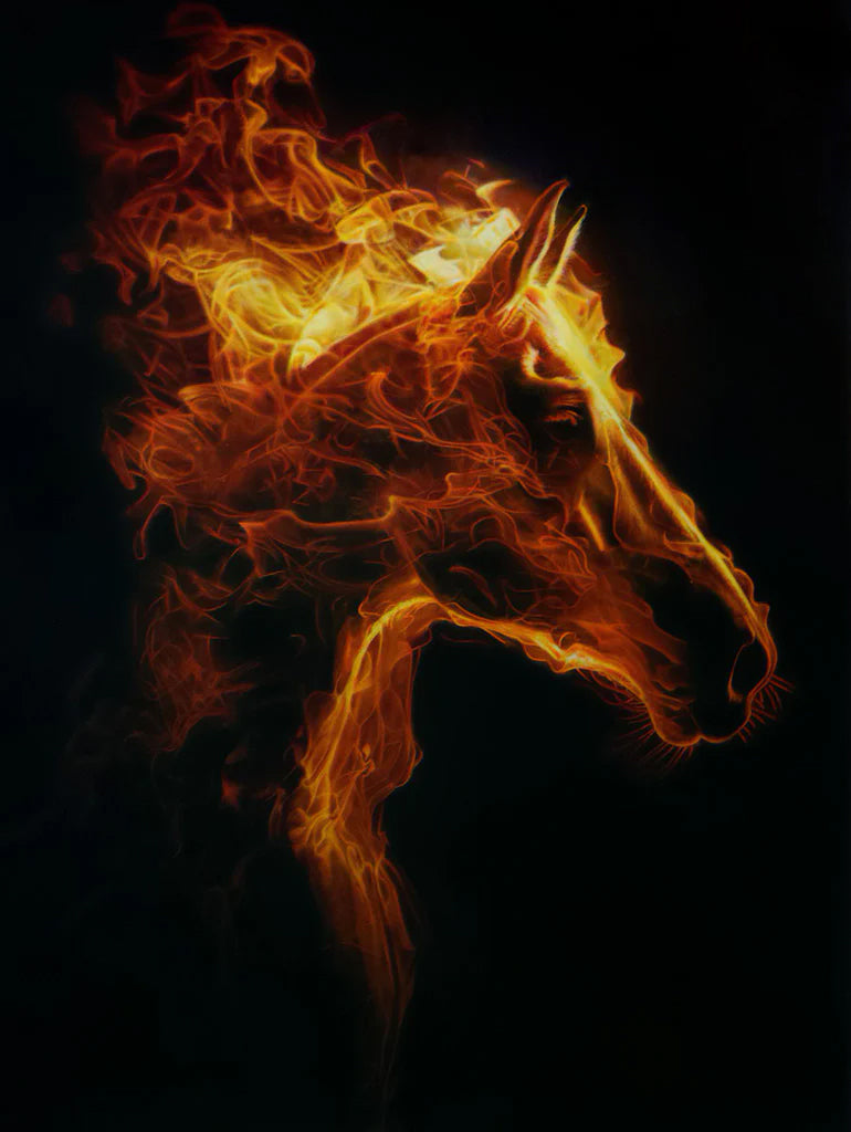 The Fire Horse