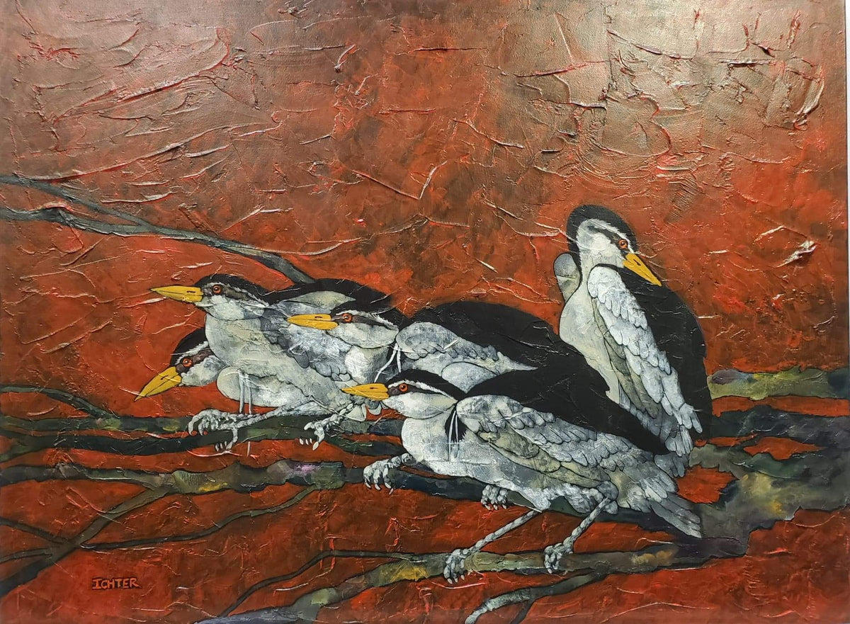 The Night Watch (Black Hooded Herons)