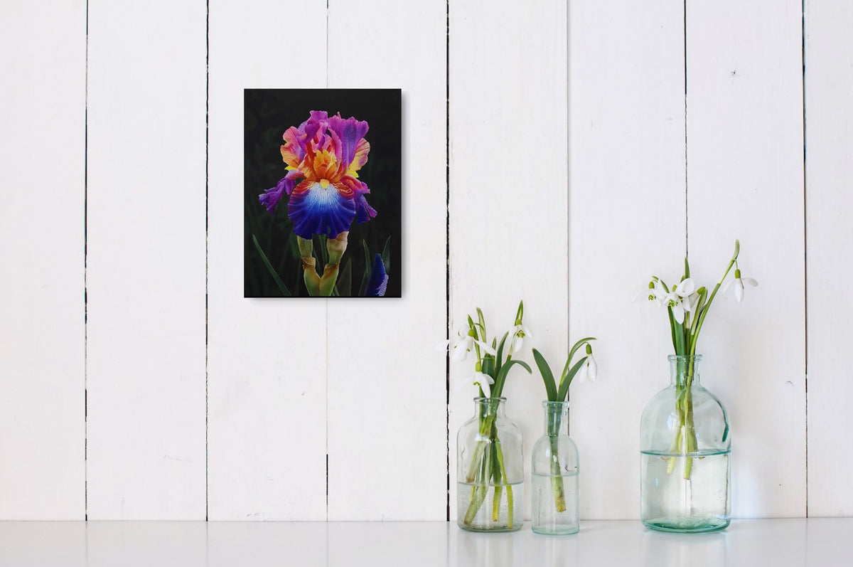 iridescent bloom by dru blair