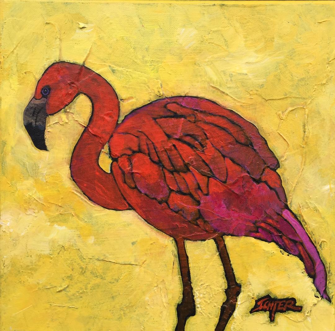 Flamingo Joe!
