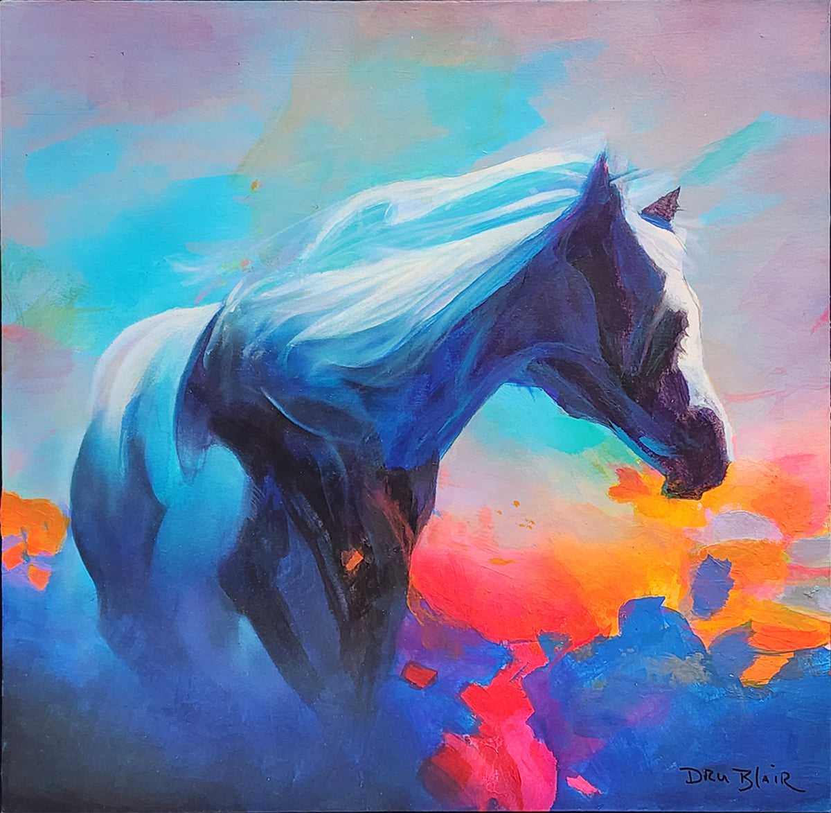 Steed of the Dawn Wind by Dru Blair