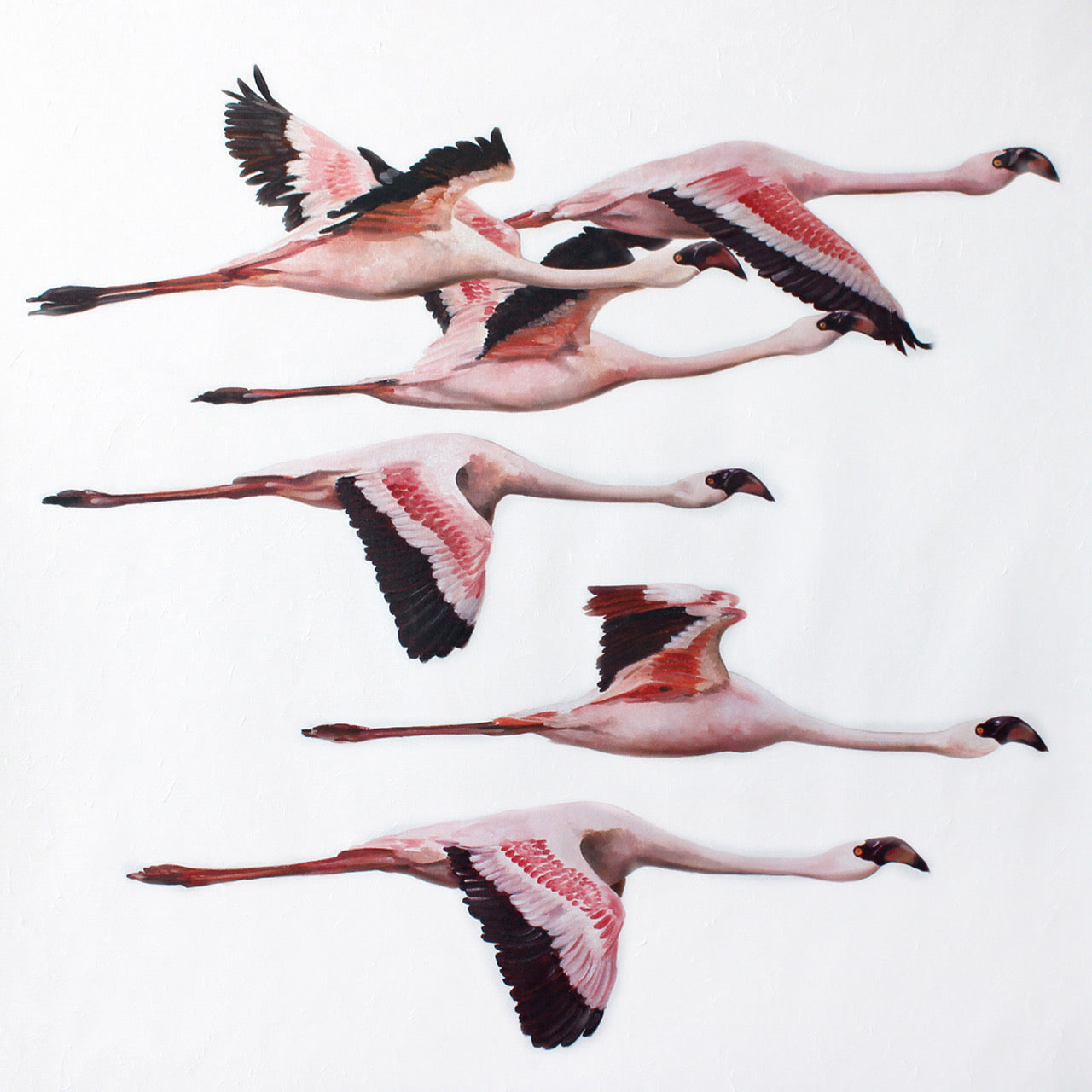 Pink Flamingos in Flight by Ron Di Scenza