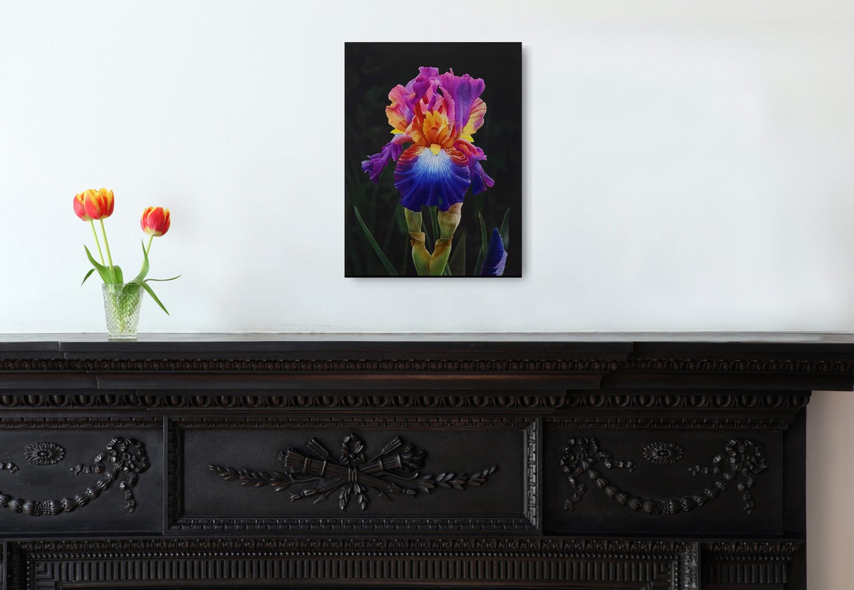 iridescent bloom by dru blair
