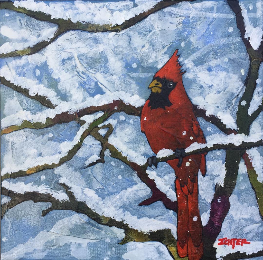 Snow Bird Songs by Bob Ichter