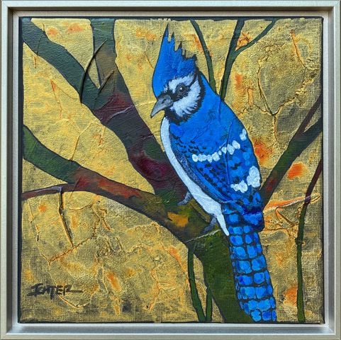 Blue Jay by Bob Ichter