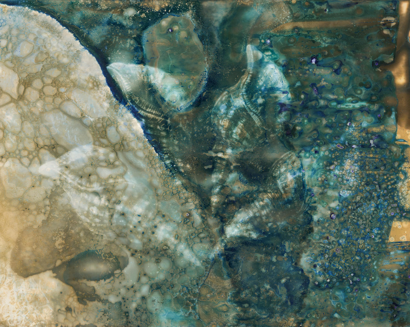 Sea Bloom (1/50)