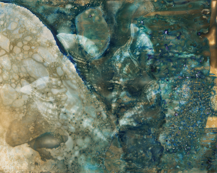 Sea Bloom (1/50)