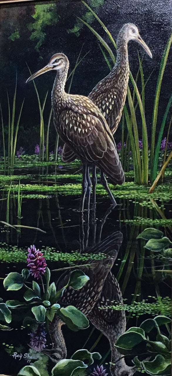 Reflections
