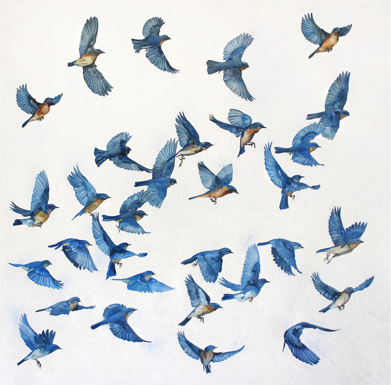 Blue Birds