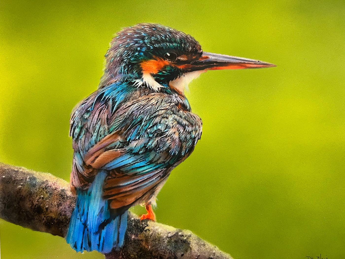 Kingfisher II
