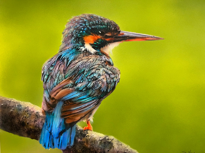 Kingfisher II