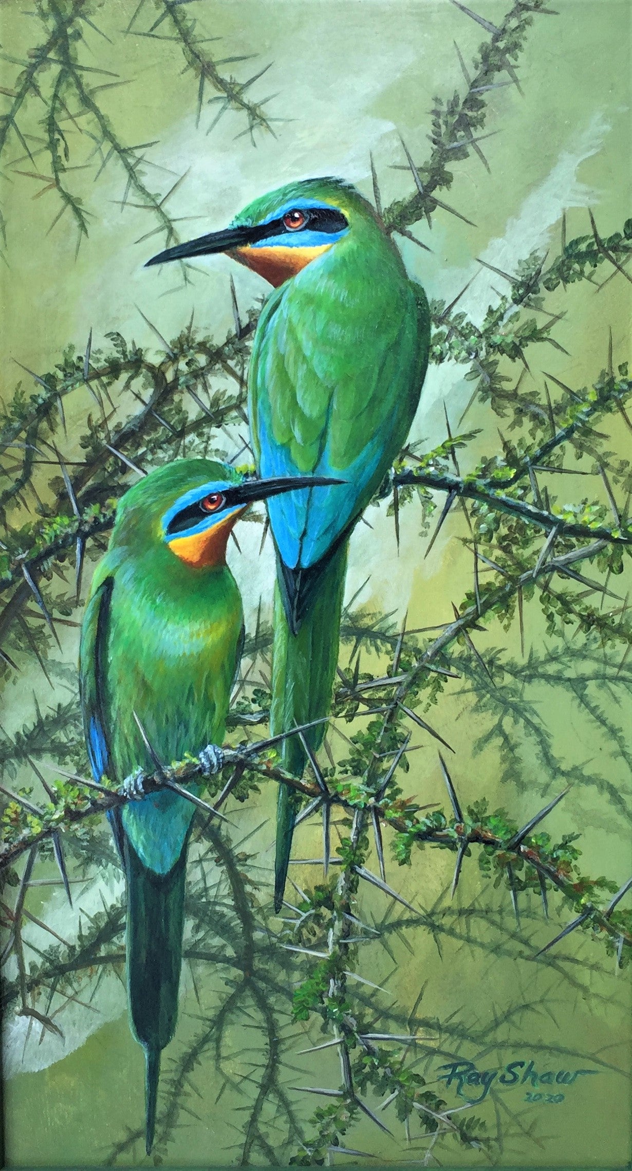 In An Emerald World by Ray Shaw
