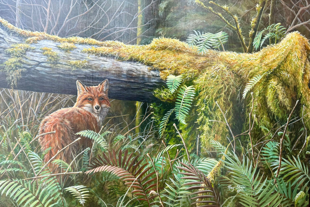 Fox in the Wood, 1989 by Ray Shaw