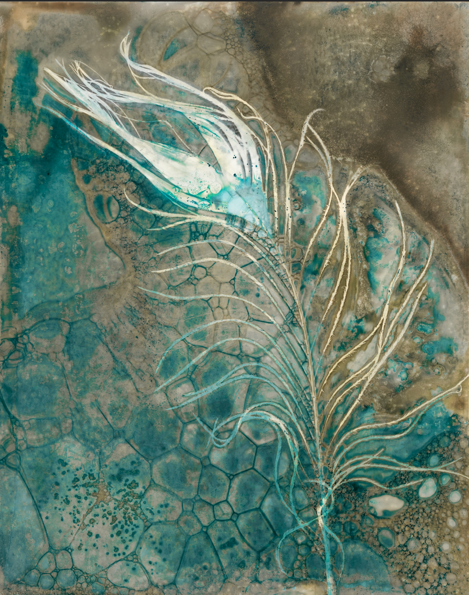 Luminous Plumage (2/50) by Hope Bruns