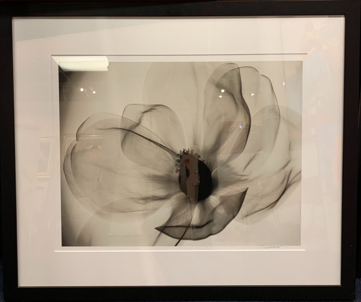 Southern Magnolia by Don Dudenbostel