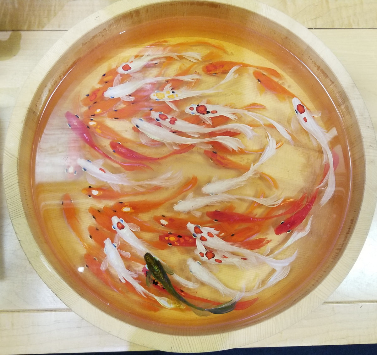 50 Koi in Imported Oke