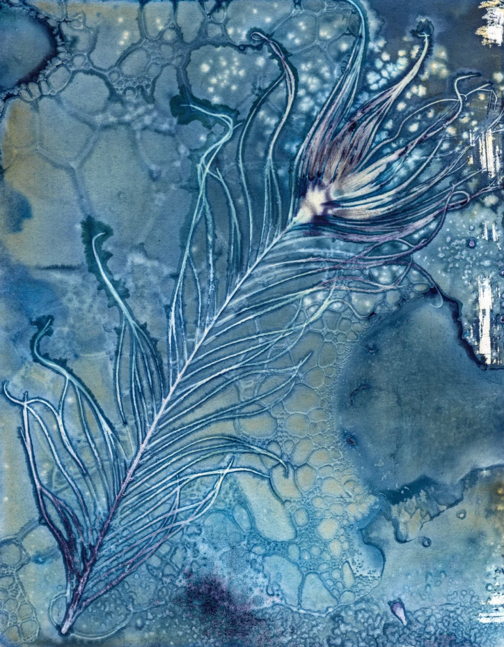 Indigo Feather (1/50) by Hope Bruns