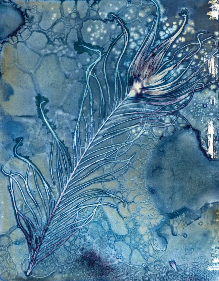 Indigo Feather (1/50)