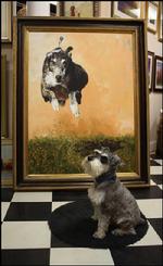the Adventures of Benji, the Gallery Dog